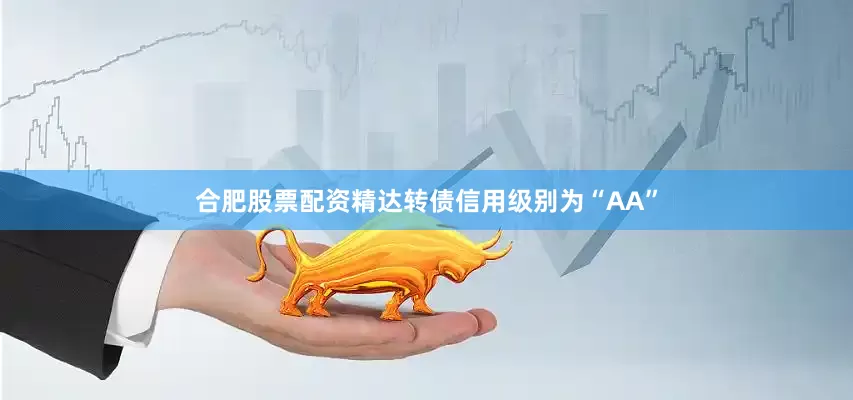 合肥股票配资精达转债信用级别为“AA”