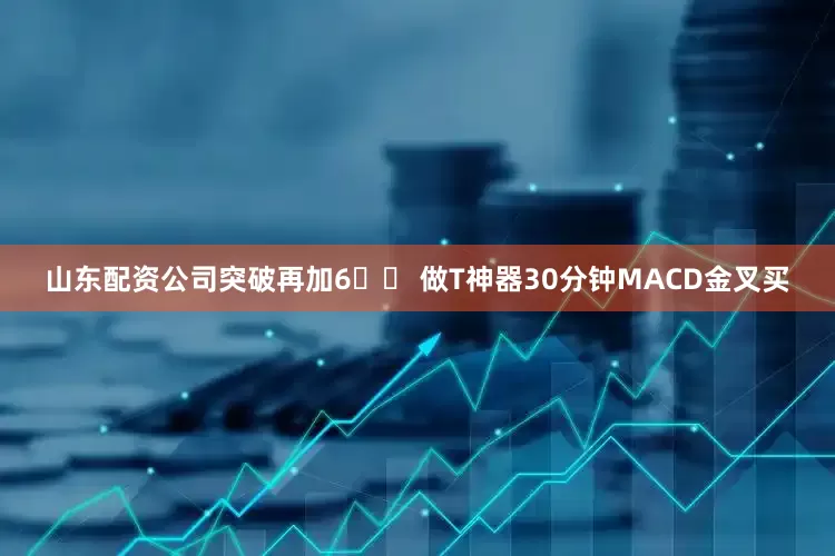 山东配资公司突破再加6️⃣ 做T神器30分钟MACD金叉买