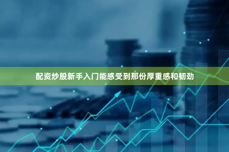 配资炒股新手入门能感受到那份厚重感和韧劲