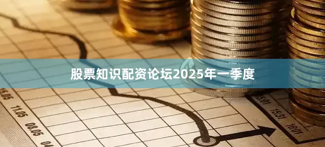 股票知识配资论坛　　2025年一季度